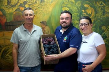 PRODUTOR RURAL JOÃO ALBERTO MINUZZI DEMONSTRA EXCELÊNCIA NA PRODUÇÃO DE UVAS EM JAGUARI 