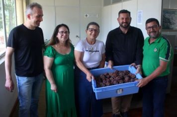 INSTITUTO FEDERAL FARROUPILHA PRESENTEIA ADMINISTRAÇÃO MUNICIPAL COM UVA PRODUZIDA NO CAMPUS DO CHAPADÃO