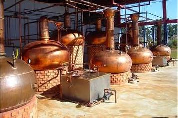 Reunião no Campus do IFFar de Jaguari no Chapadão sobre Marketing de Vendas e Tributação da Cachaça.