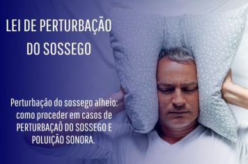 PERTURBAÇÃO DO SOSSEGO ALHEIO: COMO PROCEDER EM CASOS DE PERTURBAÇÃO DO SOSSEGO E POLUÍÇÃO SONORA 
