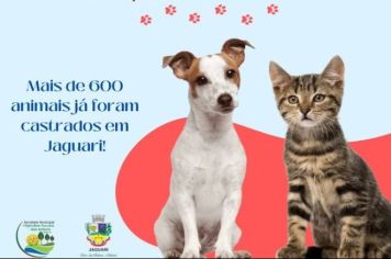 PROGRAMA MUNICIPAL DE CONTROLE POPULACIONAL: UM COMPROMISSO COM O BEM-ESTAR ANIMAL E A COMUNIDADE