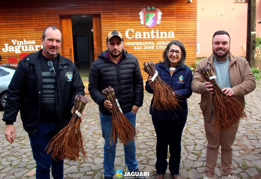 JAGUARI SEGUE FORTALECENDO A VITIVINICULTURA COM NOVA ENTREGA DE MUDAS DE VIDEIRAS