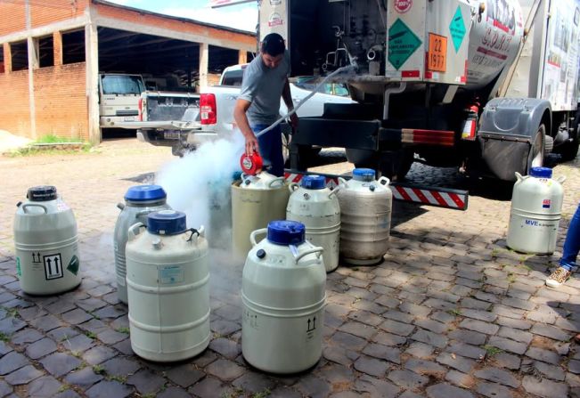 PROGRAMA DO NITROGÊNIO: APOIO À CADEIA PECUÁRIA DE JAGUARI 